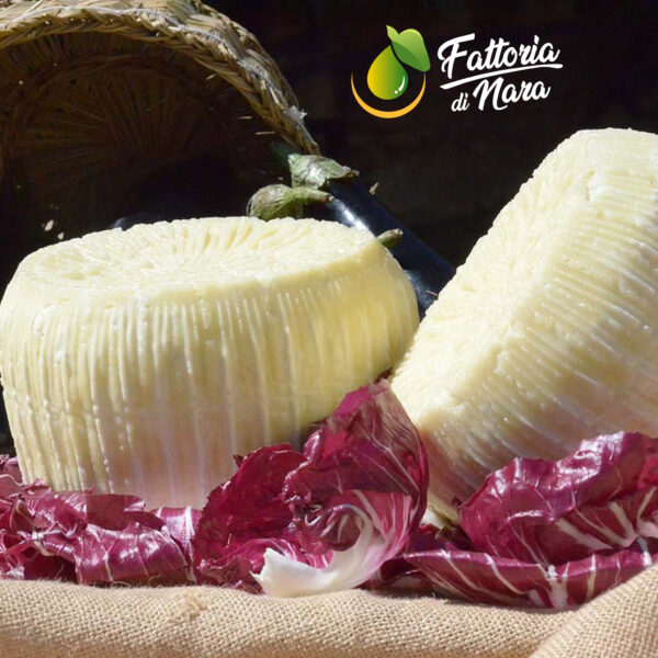 Tuma Fresca di pecora